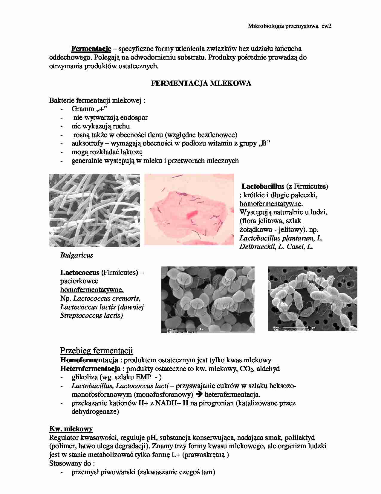 Fermentacje-opracowanie - strona 1
