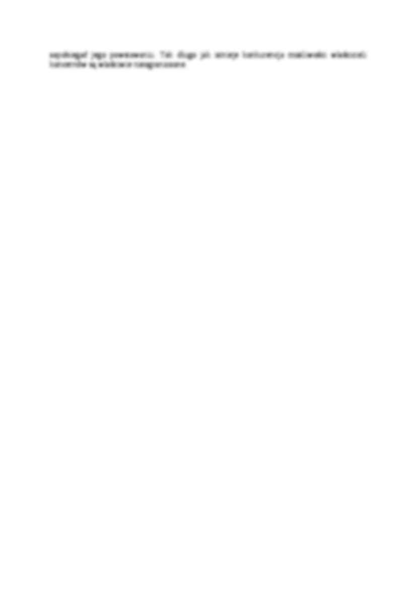 Proces koncentracji mediów w Stanach Zjednoczonych-opracowanie - strona 3