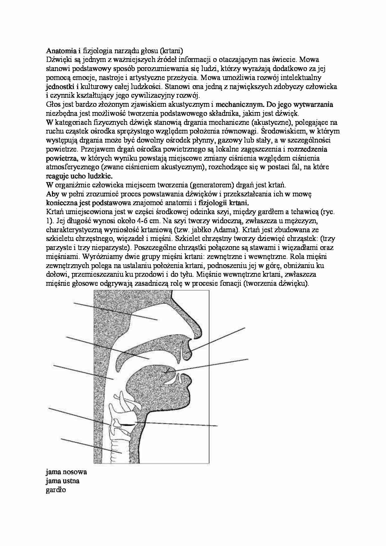 Jak powstaje głos - wykład - strona 1