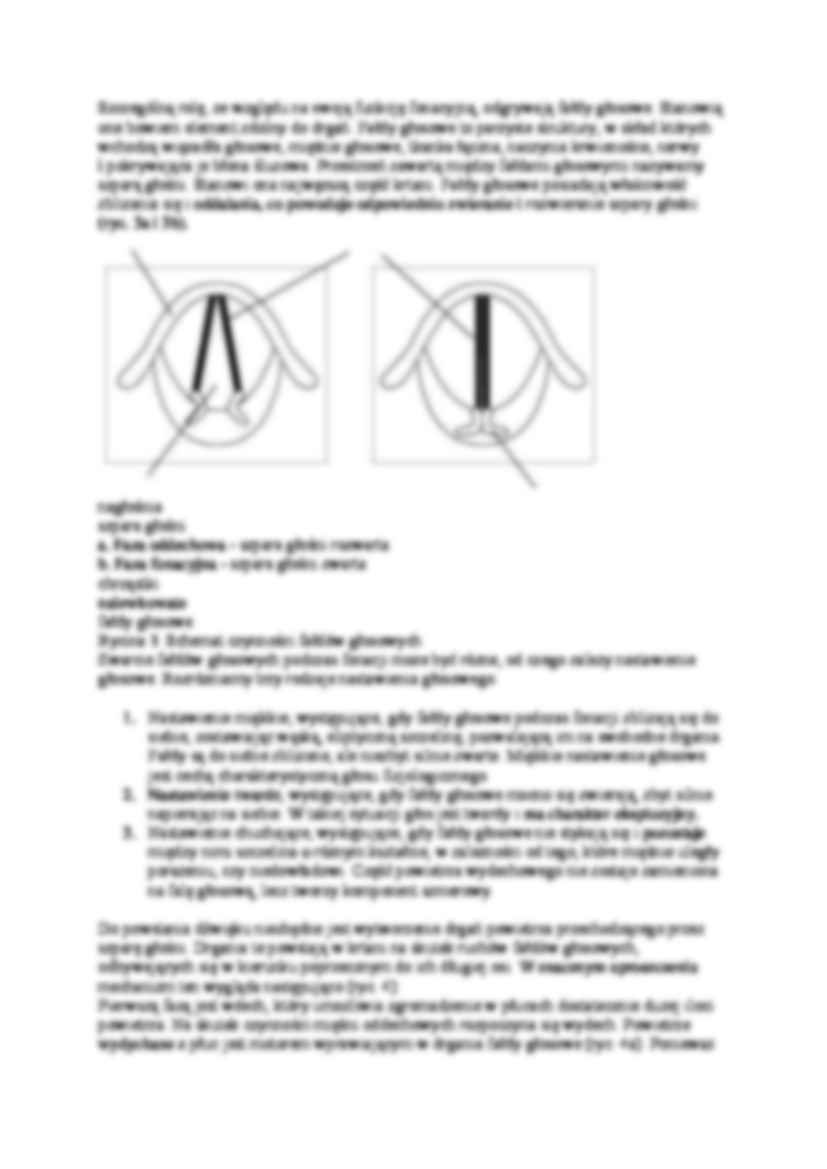 Jak powstaje głos - wykład - strona 3