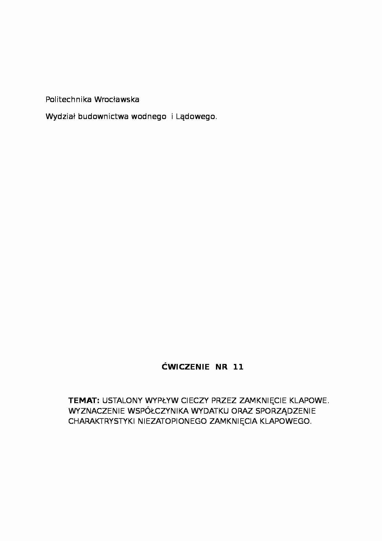 Wpływ cieczy przez zamknięcie klapowe - omówienie - strona 1