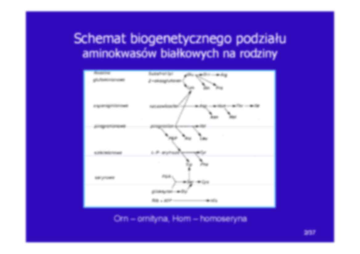 Aminokwasy-elementy budulcowe bialek - strona 2