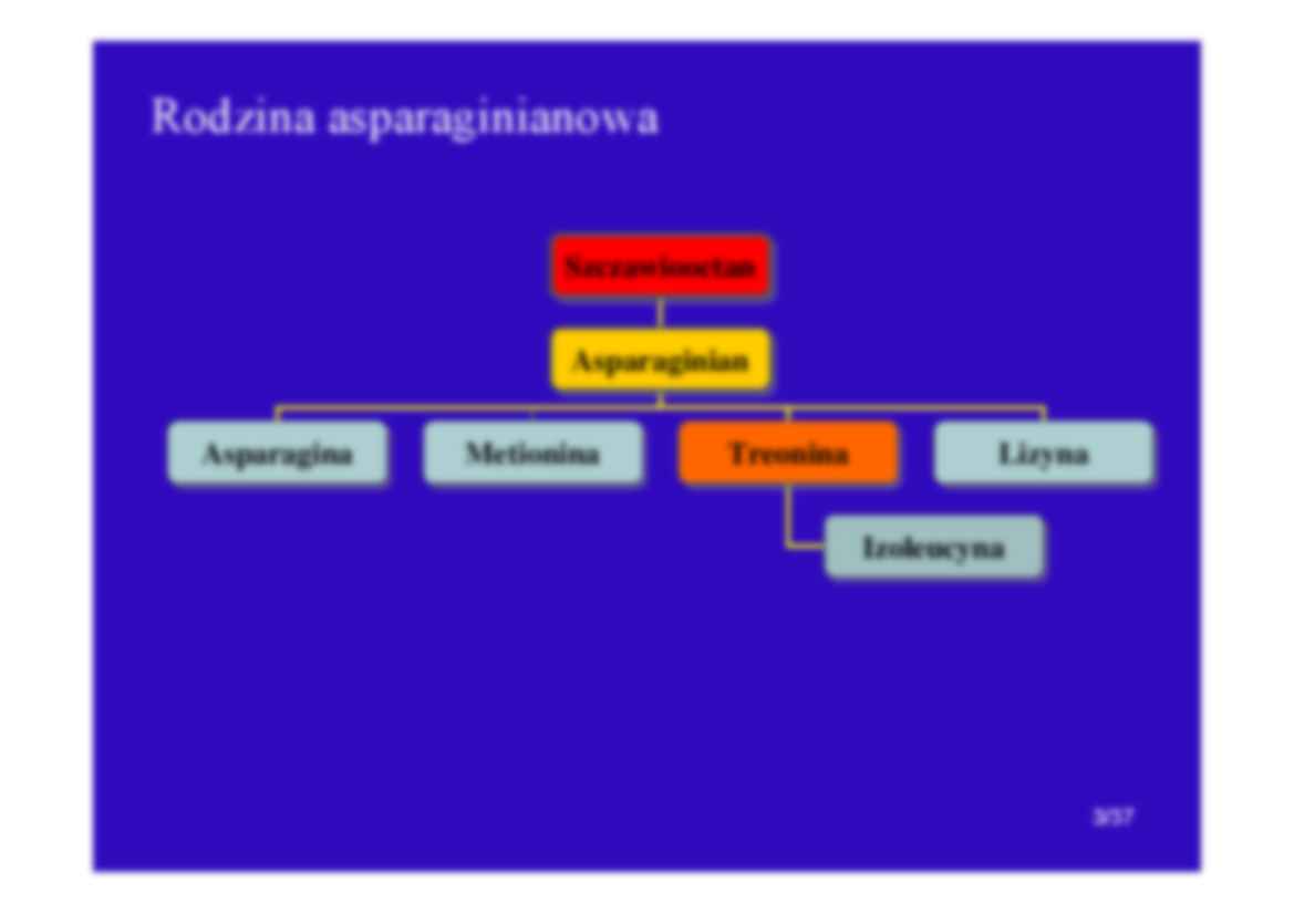 Aminokwasy-elementy budulcowe bialek - strona 3