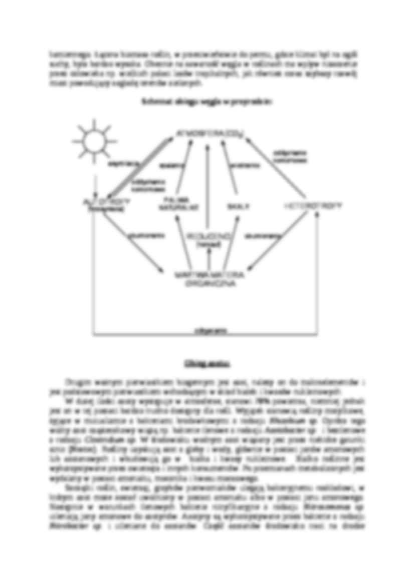 Obieg pierwiastków w przyrodzie- opracowanie - strona 2