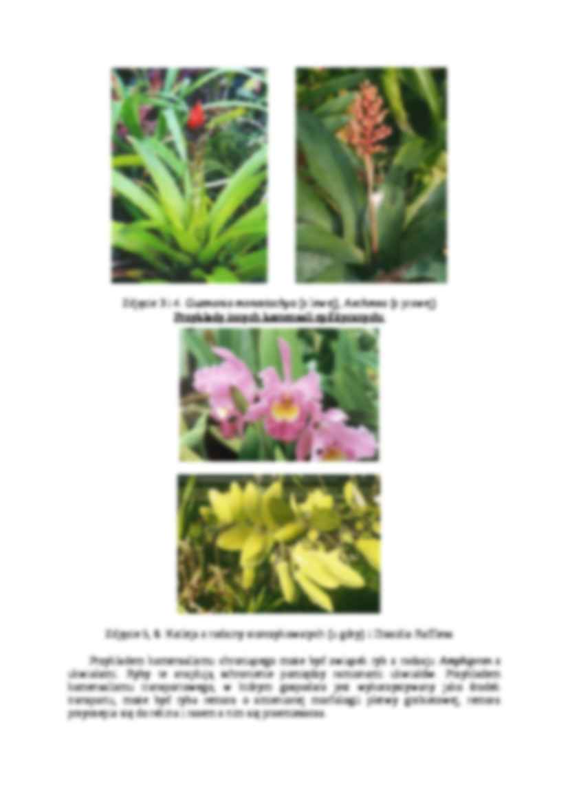 Zależności pokarmowe ekosystemu- opracowanie - strona 3