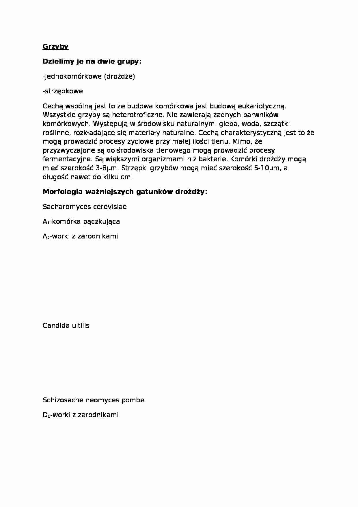 Grzyby- opracowanie - strona 1