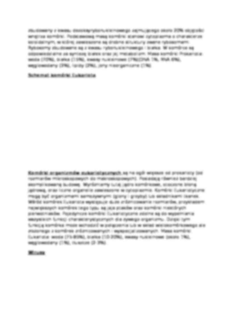 Kryteria ryzyka- opracowanie - strona 3