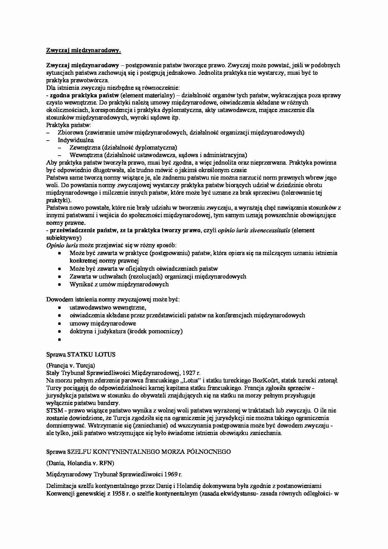 Wykład - Zwyczaj międzynarodowy - strona 1