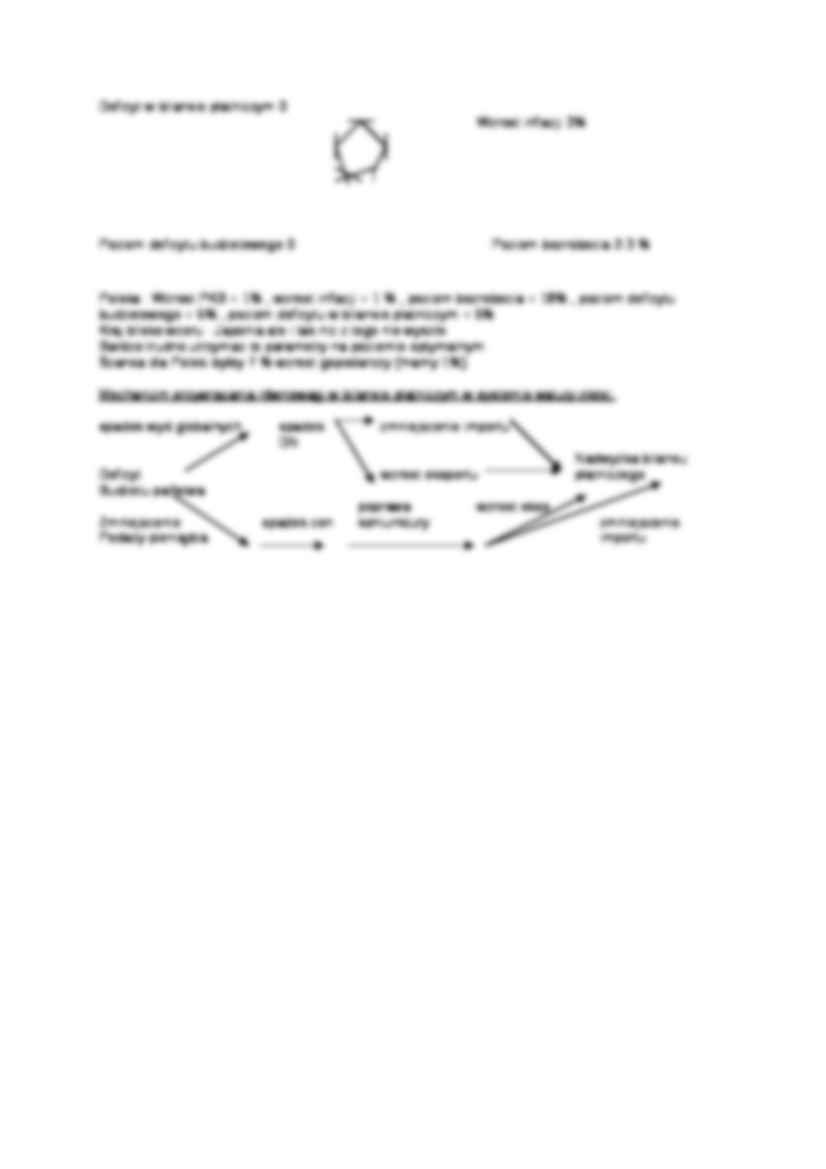 Bilans płatniczy- opracowanie - strona 3