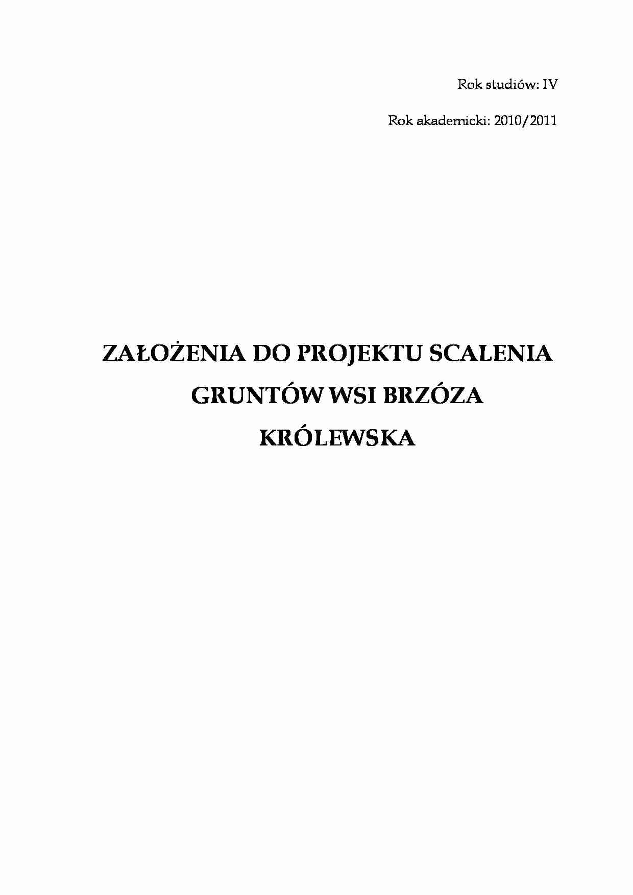 Założenia do projektu scalenia  - strona 1