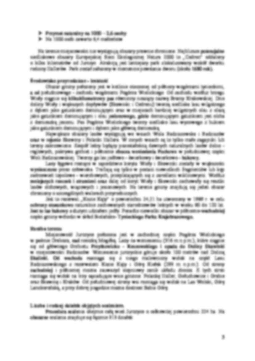 Założenia do projektu scalenia obrębu Jurczyce - strona 3