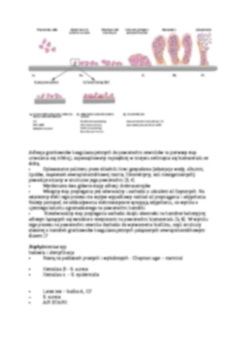Czynniki wirulencji - omówienie - strona 3