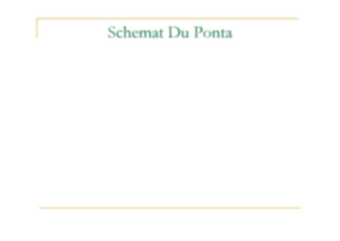 Wykład - Schemat Du Ponta, Dekompozycja wskaźników - strona 2