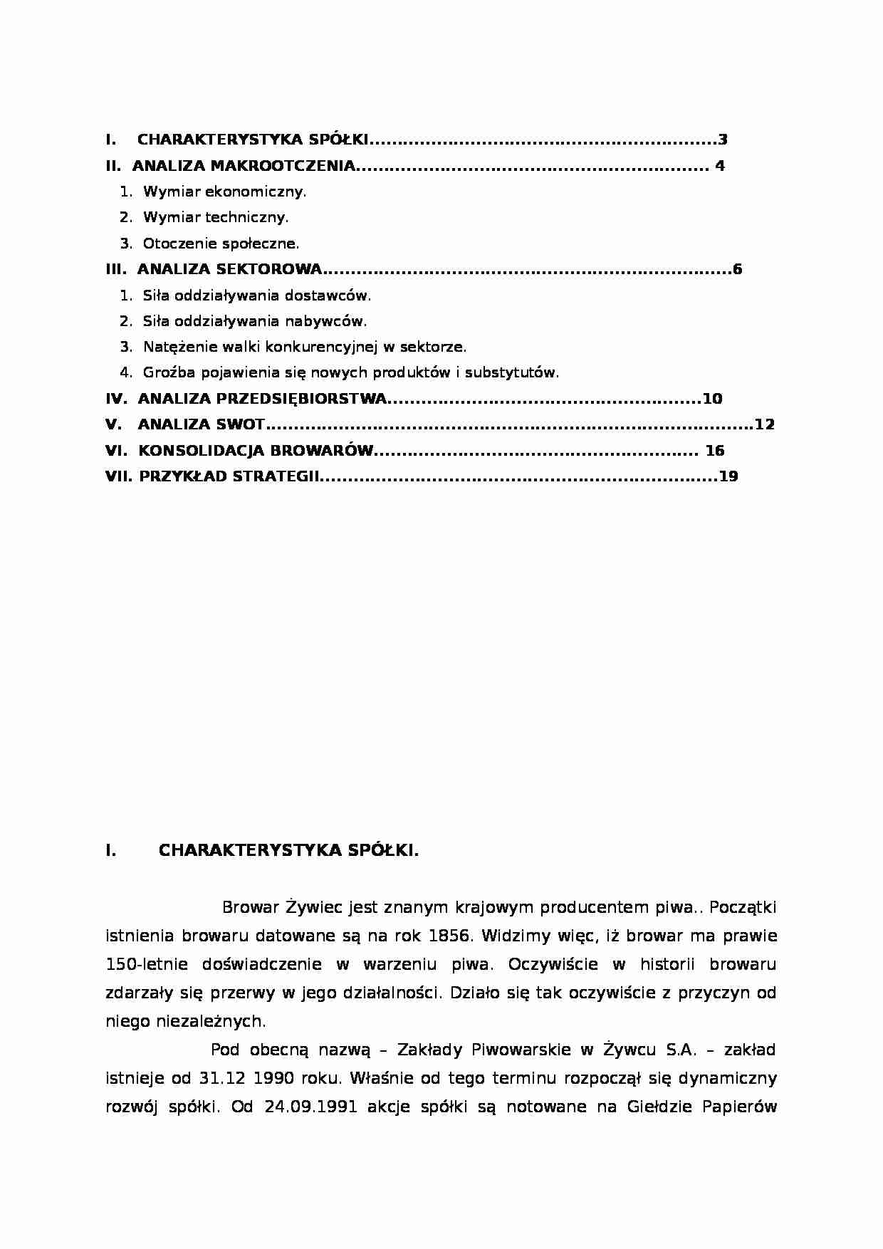 Wykład - Analiza strategiczna browaru - strona 1