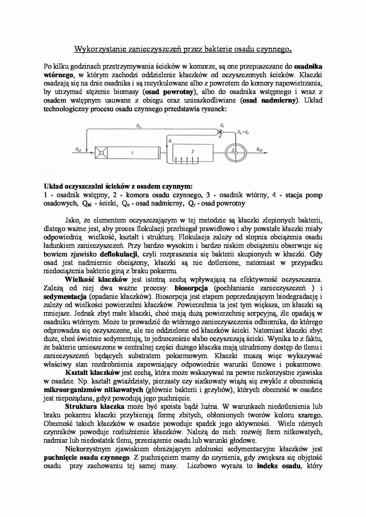 Wykorzystanie zanieczyszczeń przez bakterie osadu czynnego - wykład - strona 1