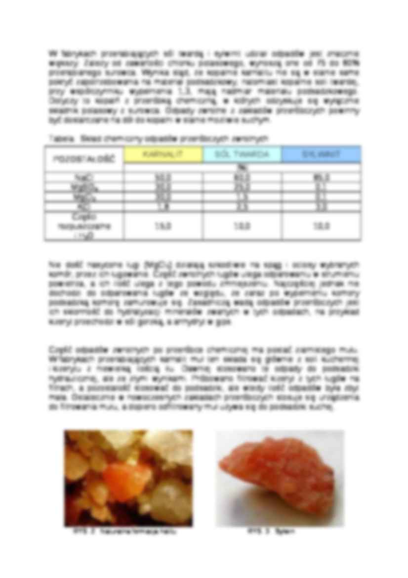 Odpady z górnictwa złóż soli-opracowanie - strona 3