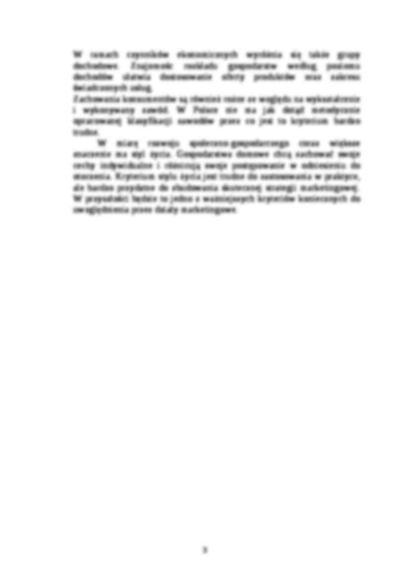 Segmentacja rynku- opracowanie - strona 3