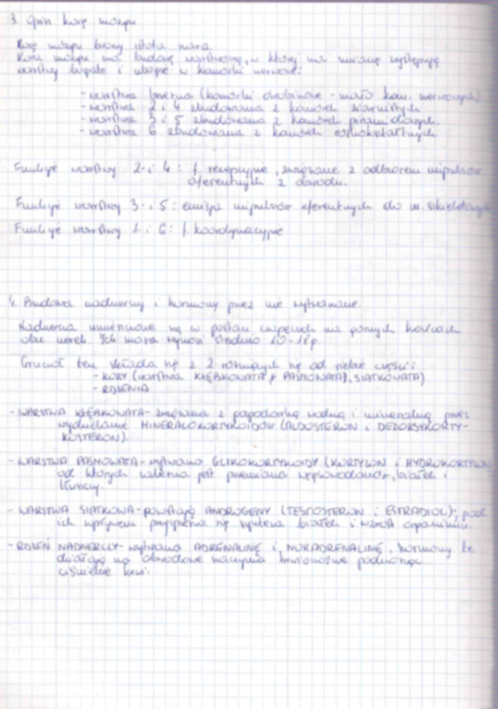 Anatomia zestaw 3 i 4  egzamin - strona 2