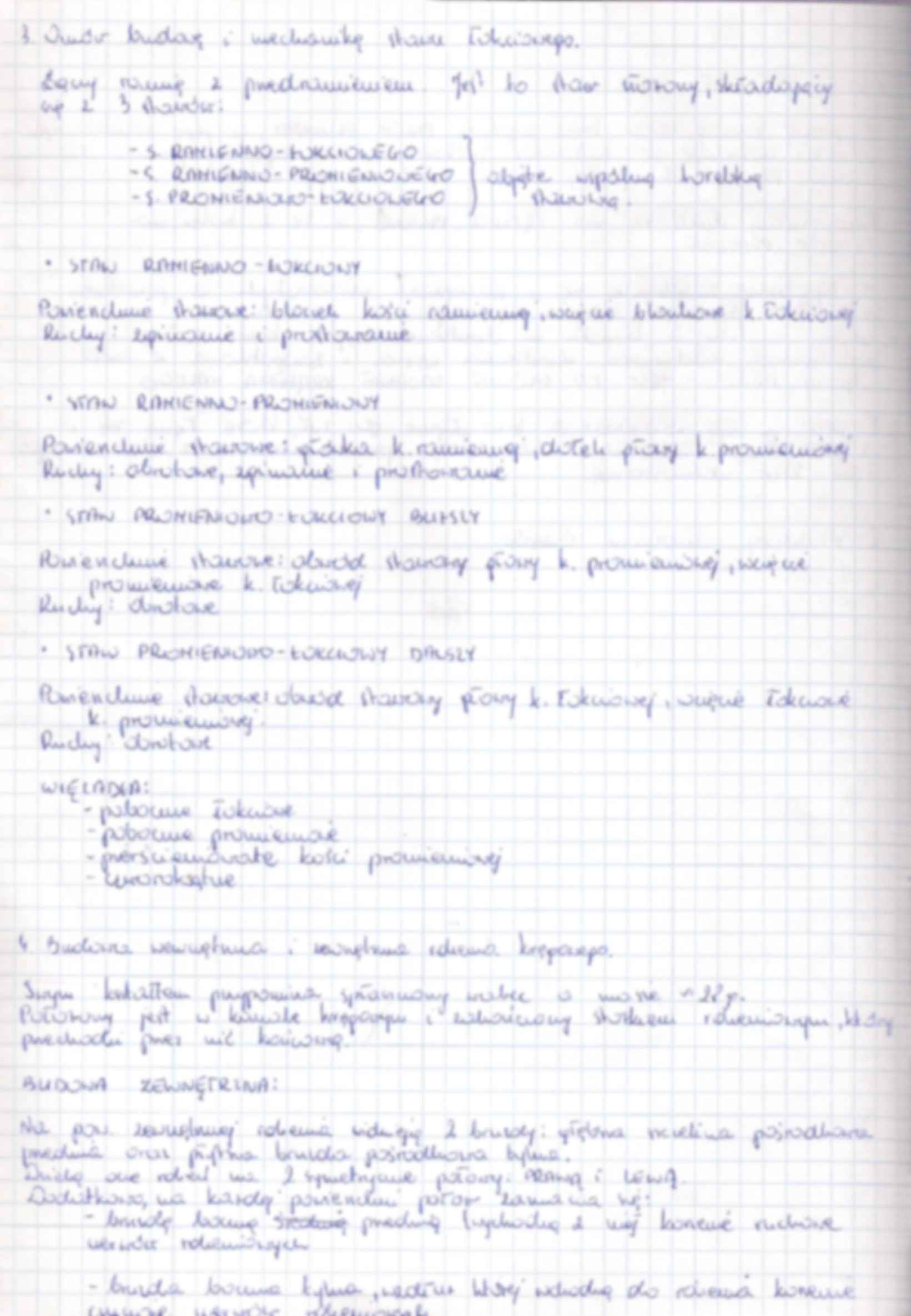 Anatomia zestaw 5  egzamin - strona 2