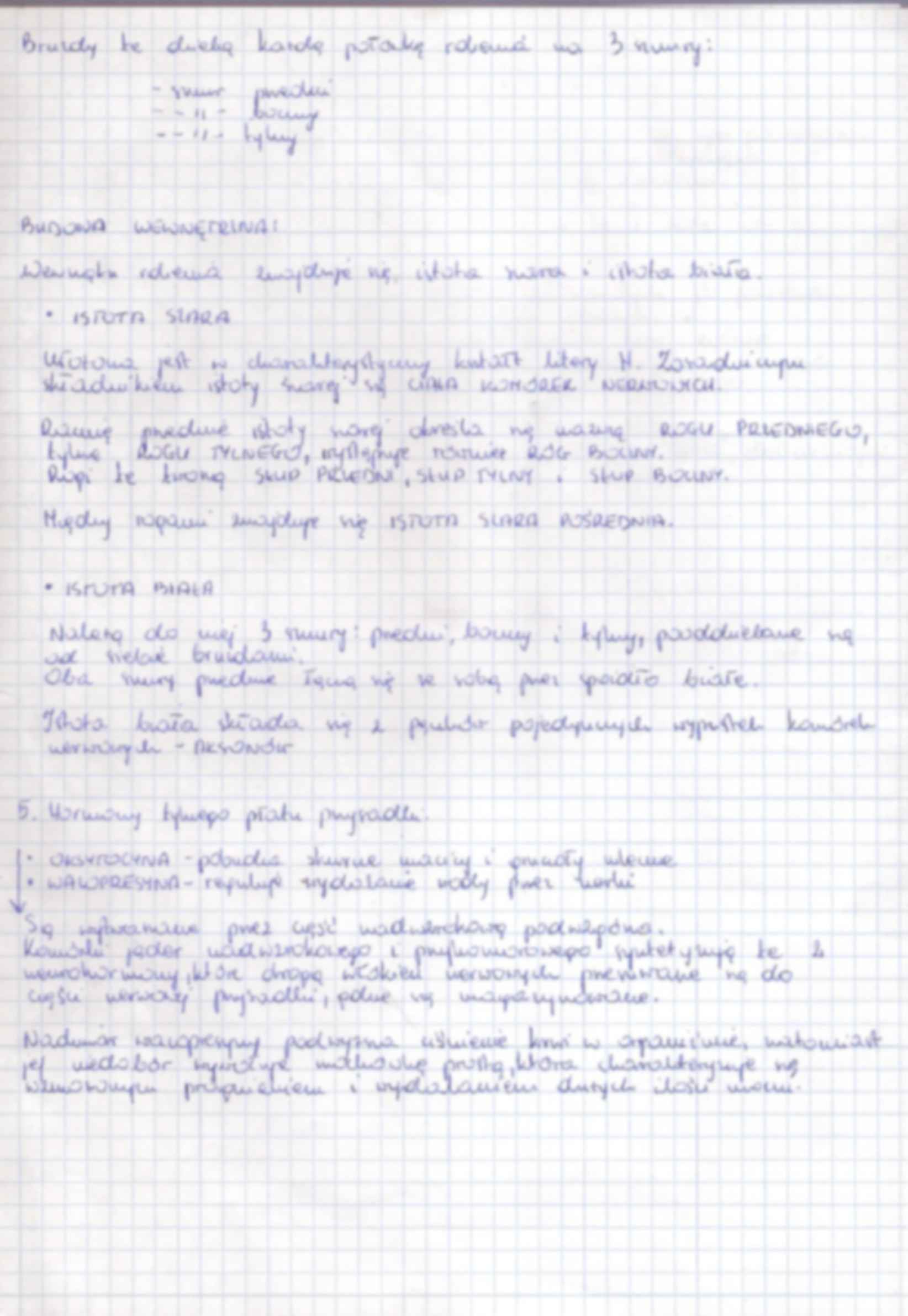 Anatomia zestaw 5  egzamin - strona 3
