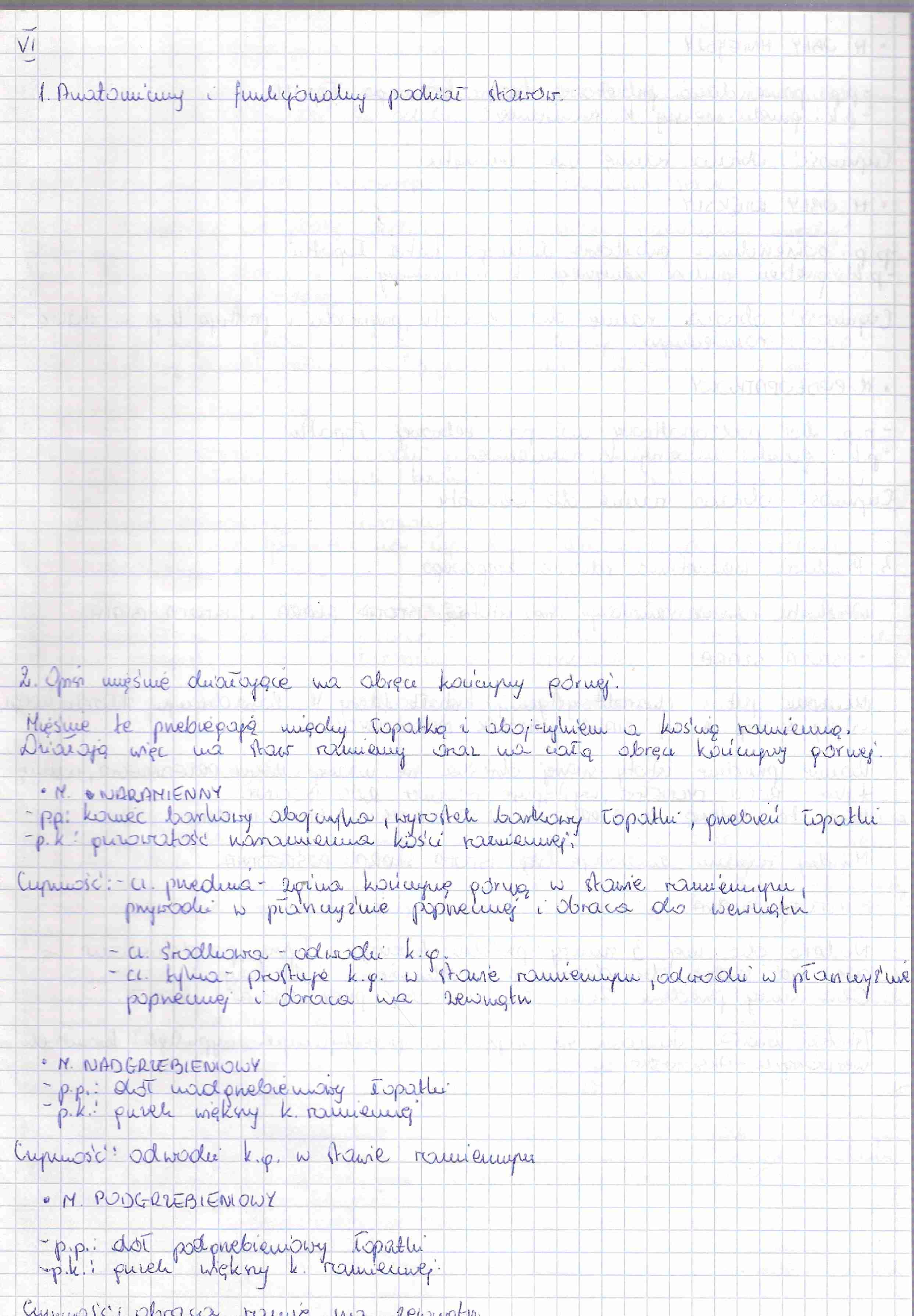 Anatomia zestaw 6  egzamin - strona 1