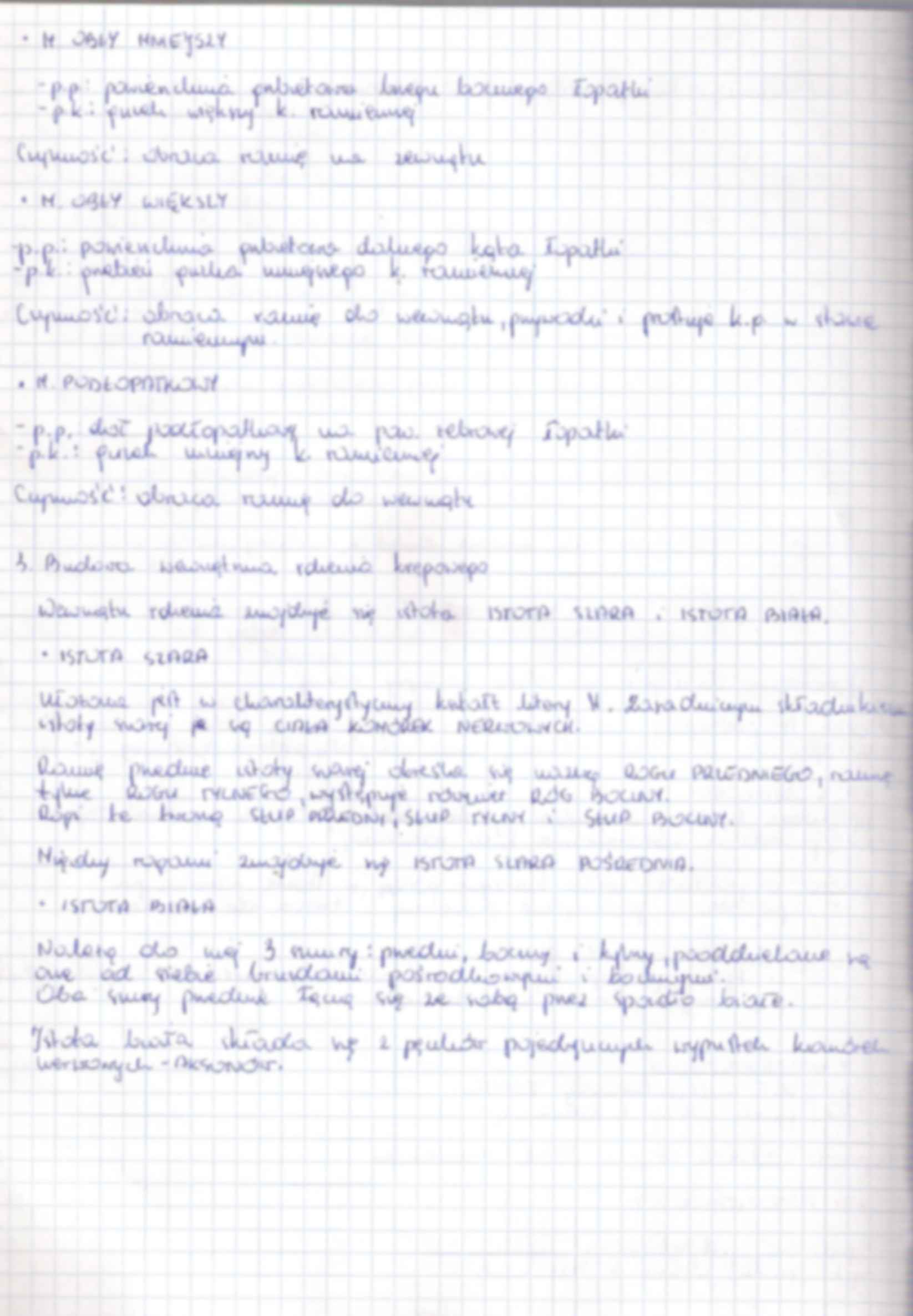 Anatomia zestaw 6  egzamin - strona 2