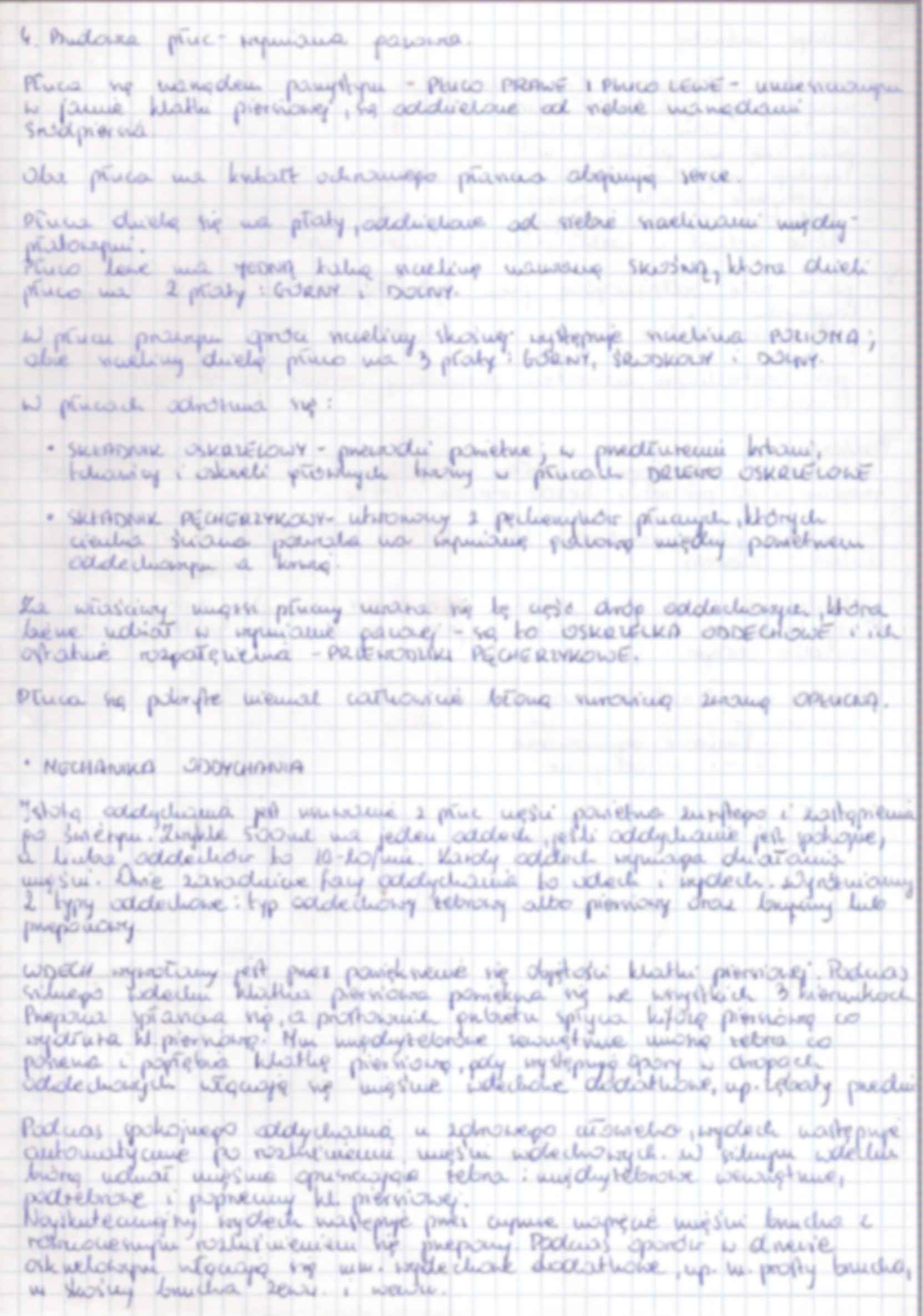 Anatomia zestaw 6  egzamin - strona 3