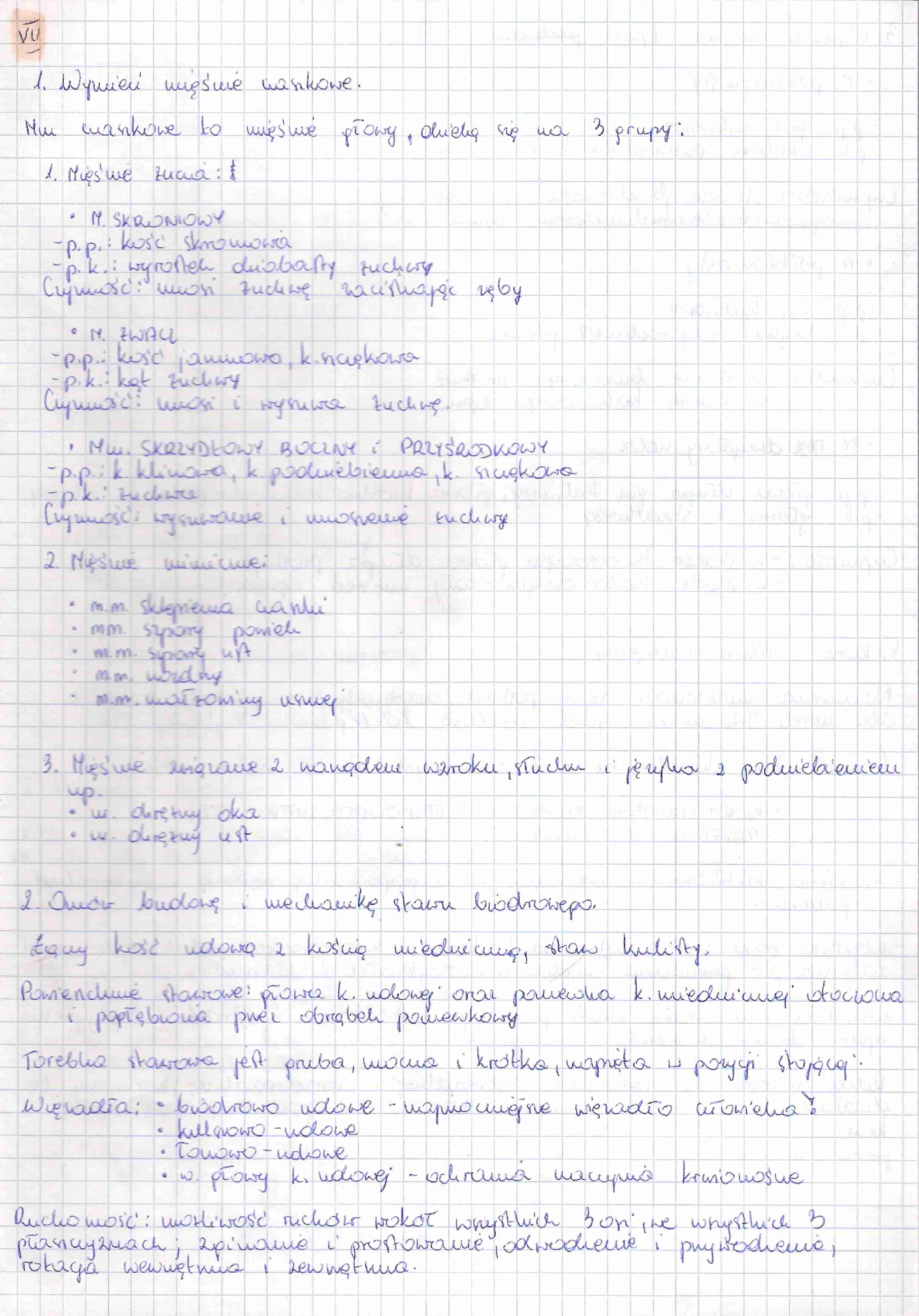 Anatomia zestaw 7 i 8  egzamin - strona 1
