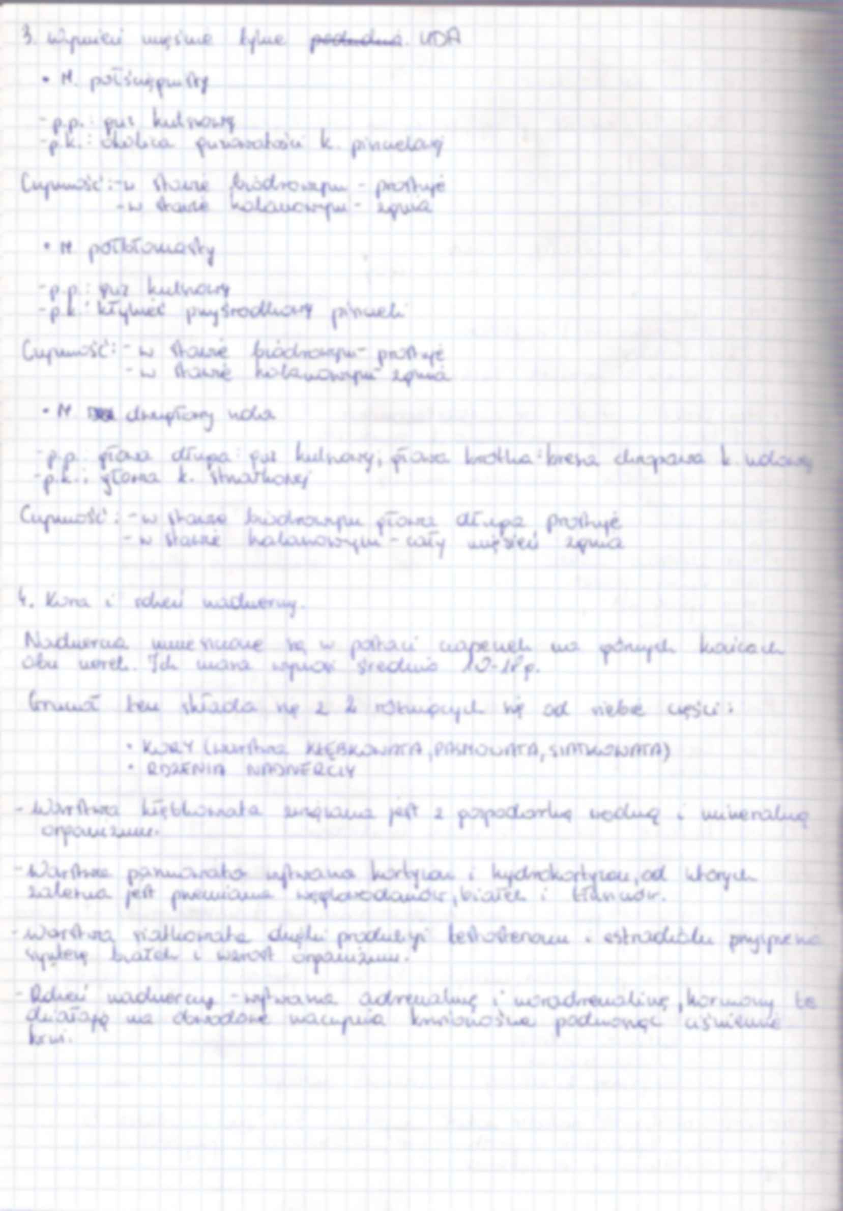 Anatomia zestaw 7 i 8  egzamin - strona 2