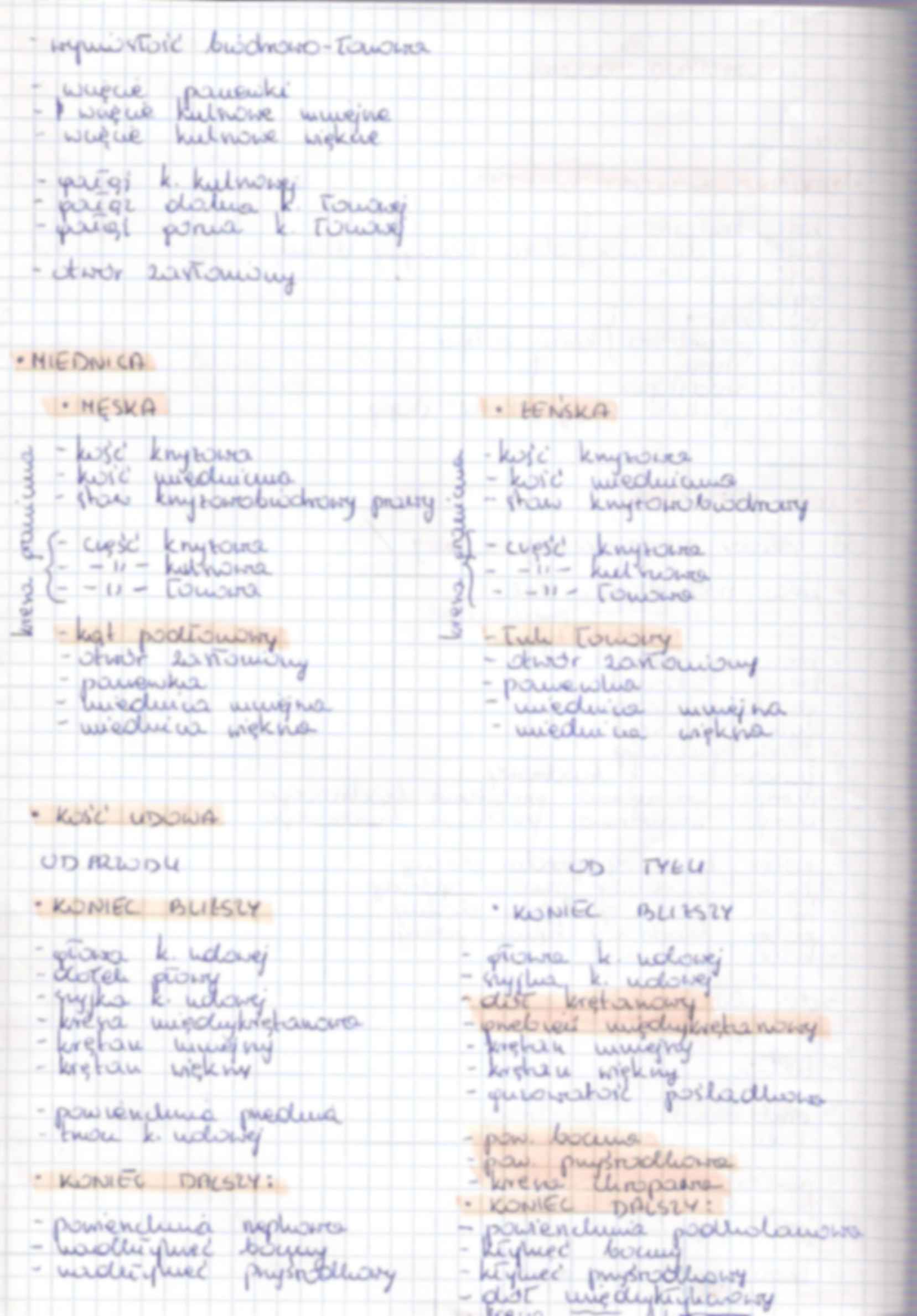anatomia kości - kończyna dolna - strona 2