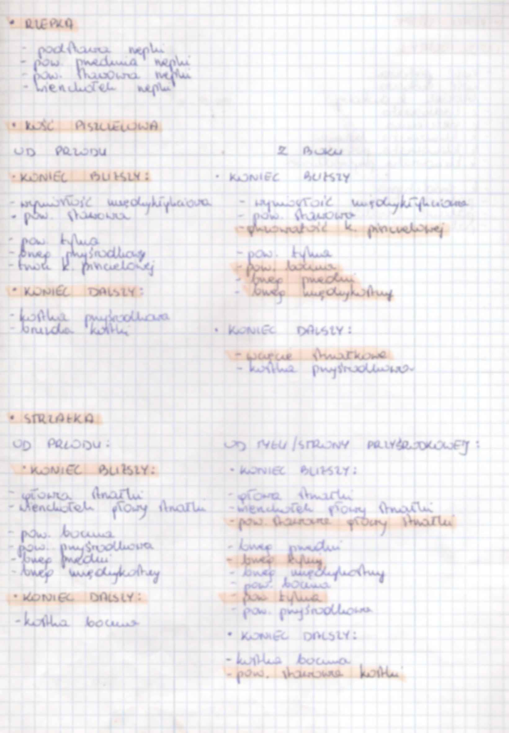 anatomia kości - kończyna dolna - strona 3