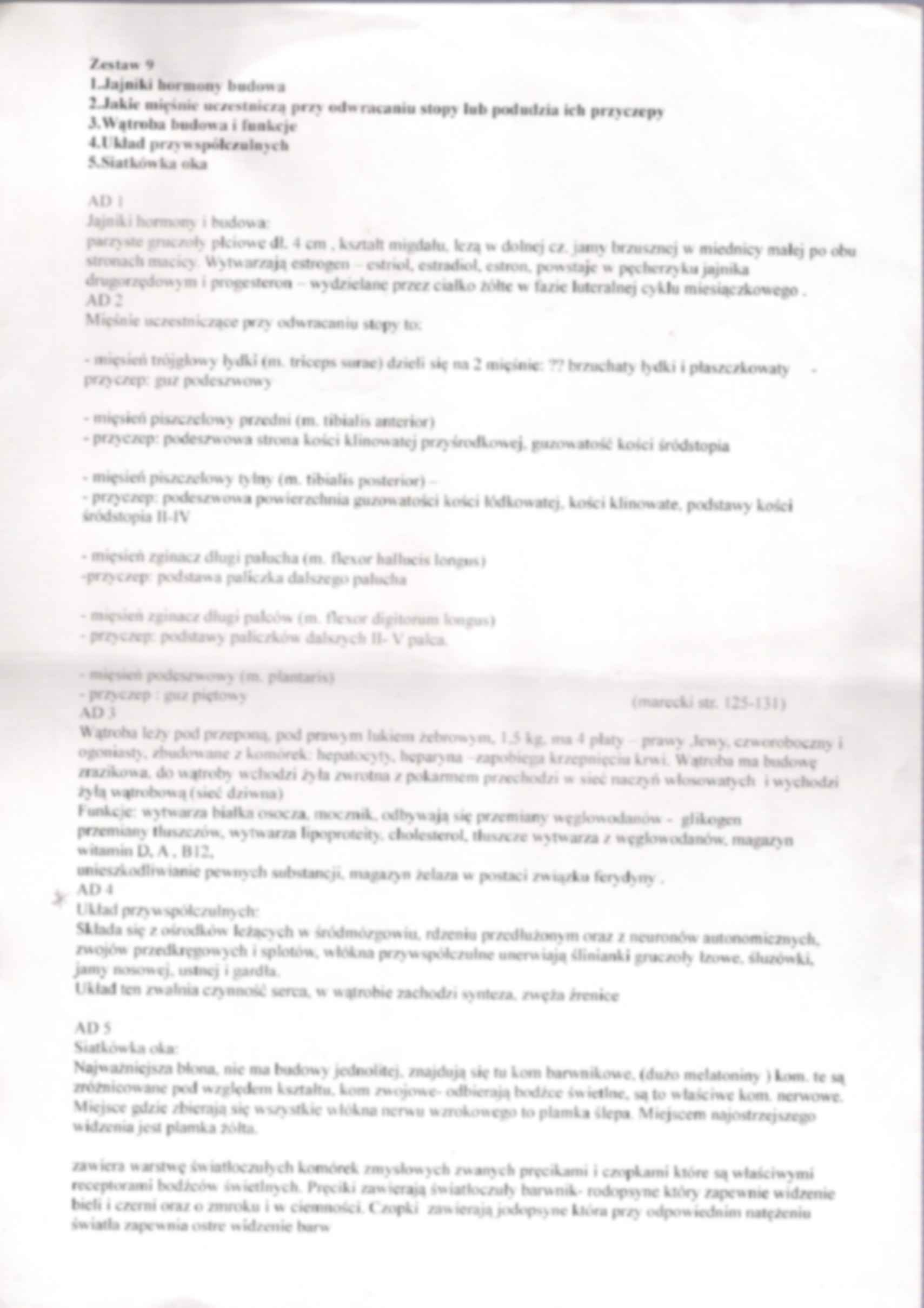 Anatomia - zestaw do egzaminu 2 - strona 3