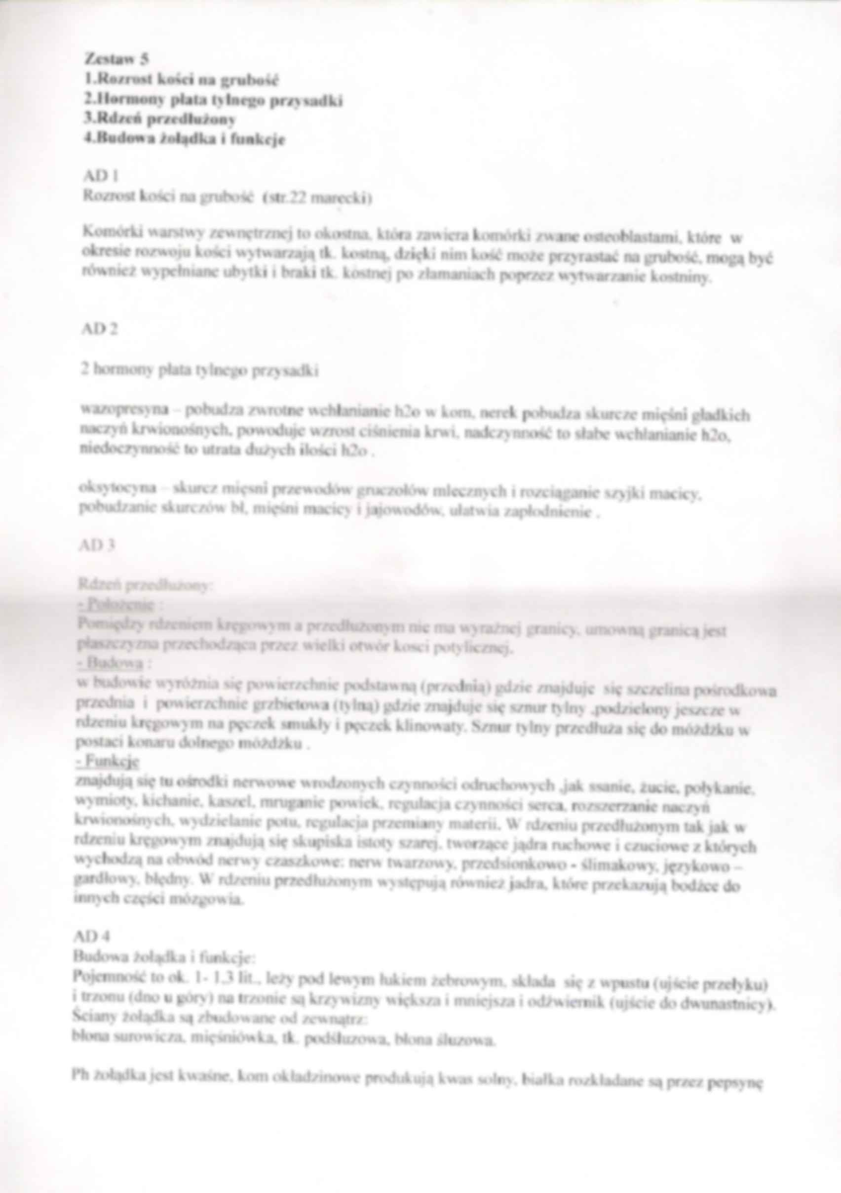 Anatomia - zestaw do egzaminu 3 - strona 3