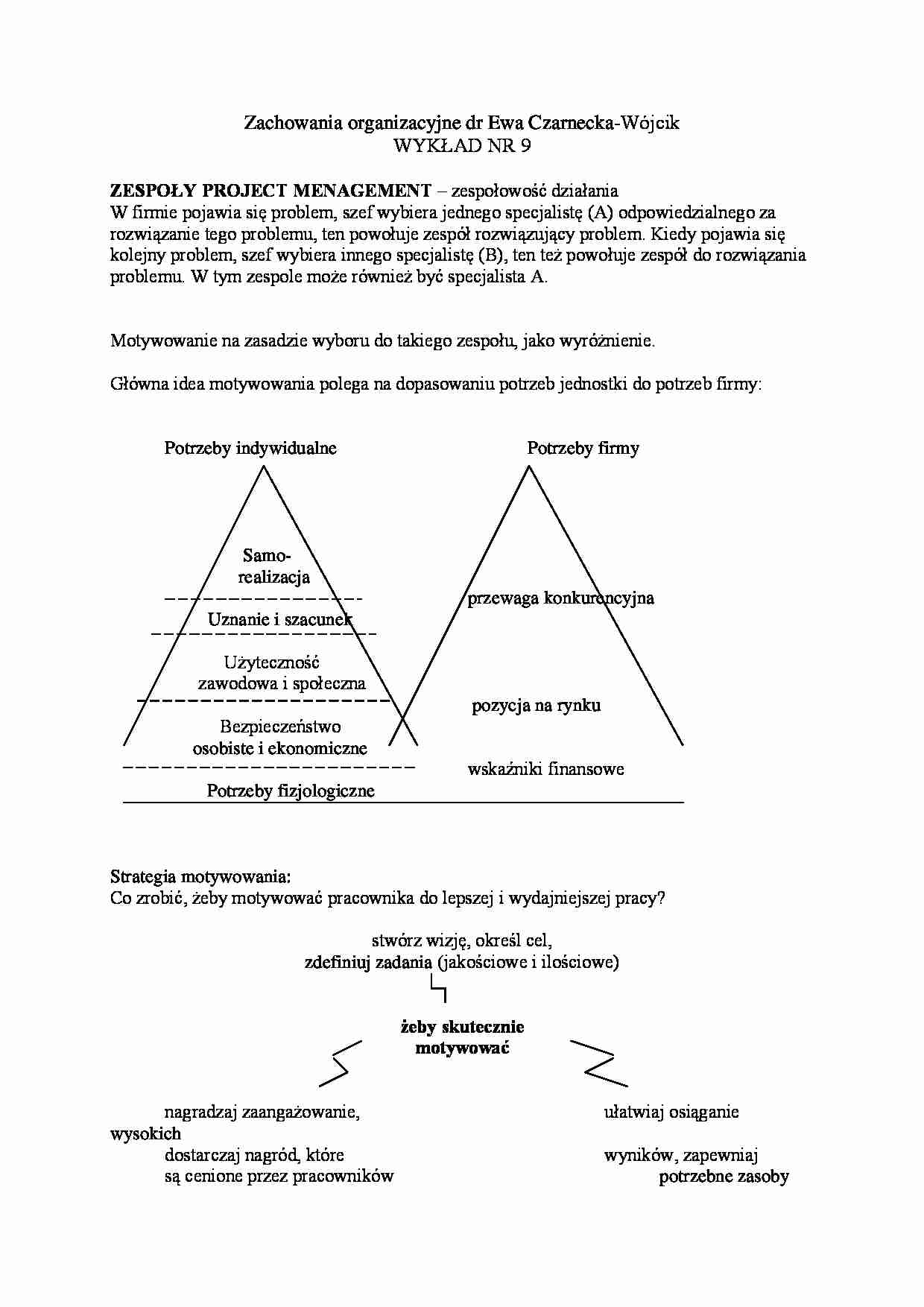 Wykład - zespół project management - strona 1
