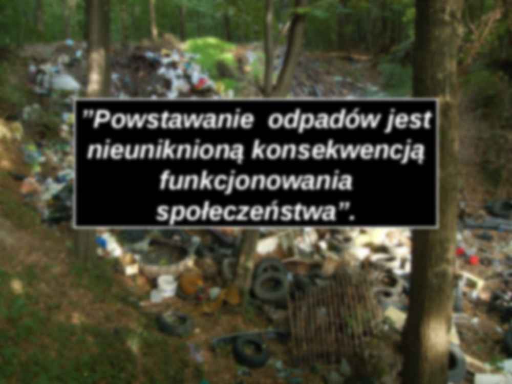 Zastosowanie logistyki w gospodarce odpadami - strona 2