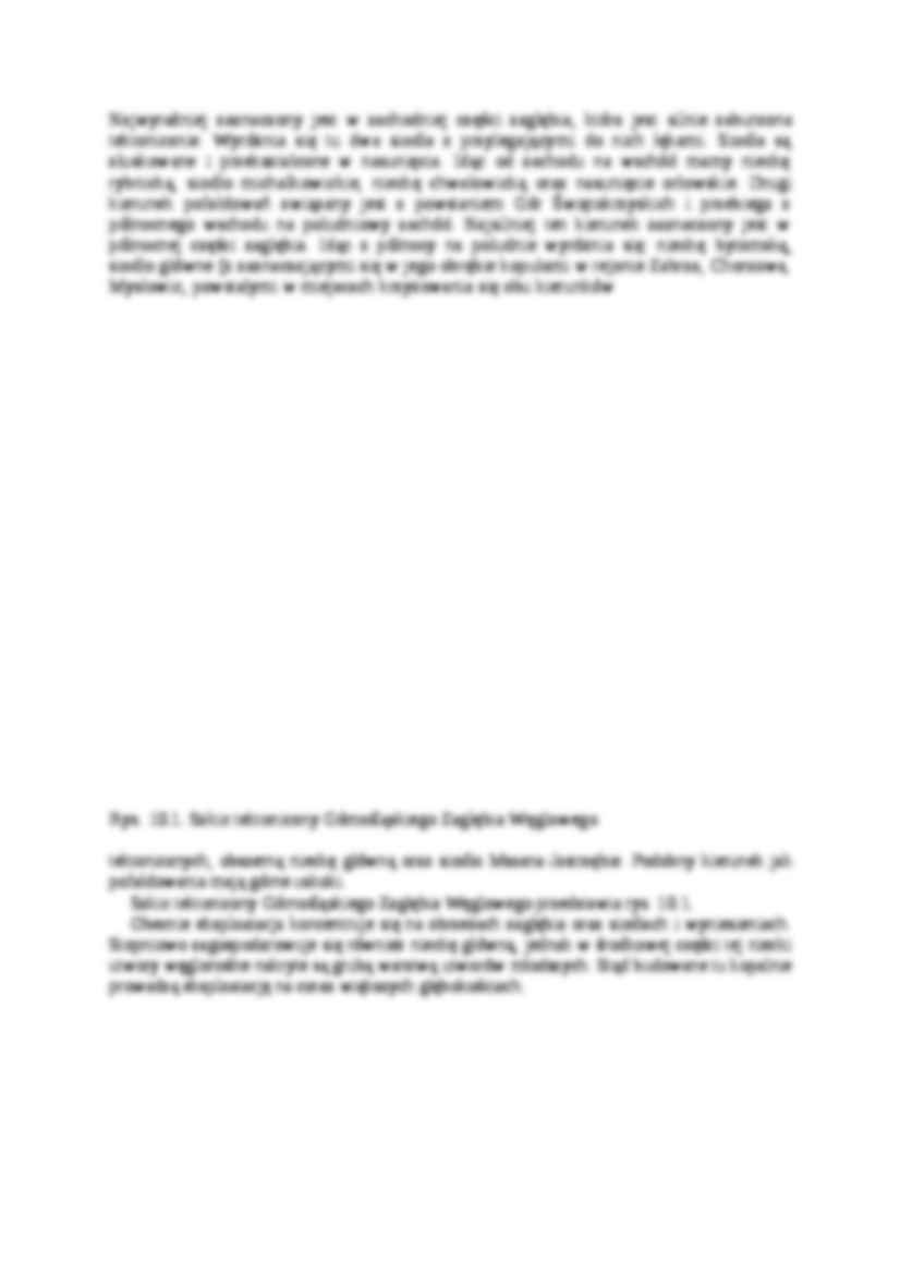 Złoża kopalin użytecznych w Polsce - wykład - strona 3
