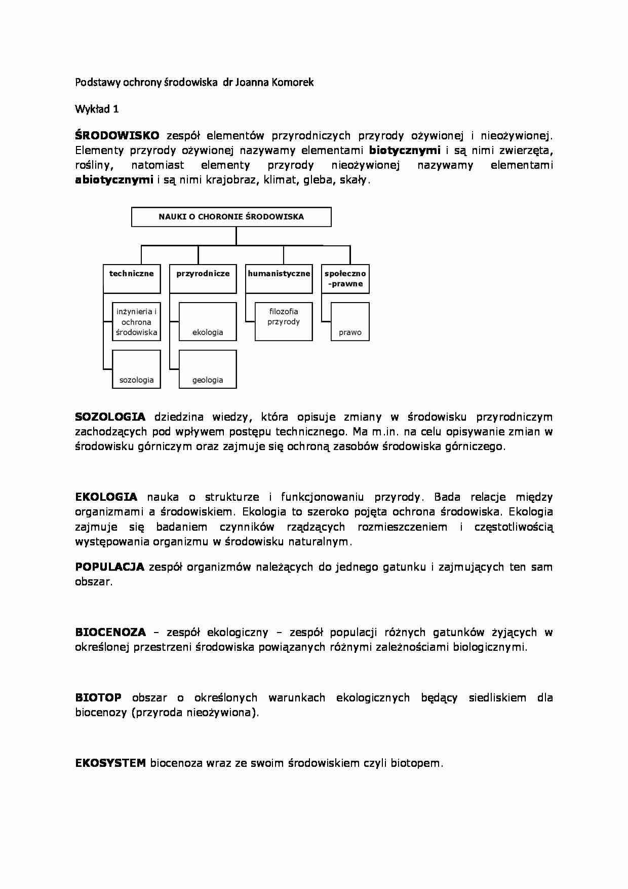 Wykład - środowisko - strona 1