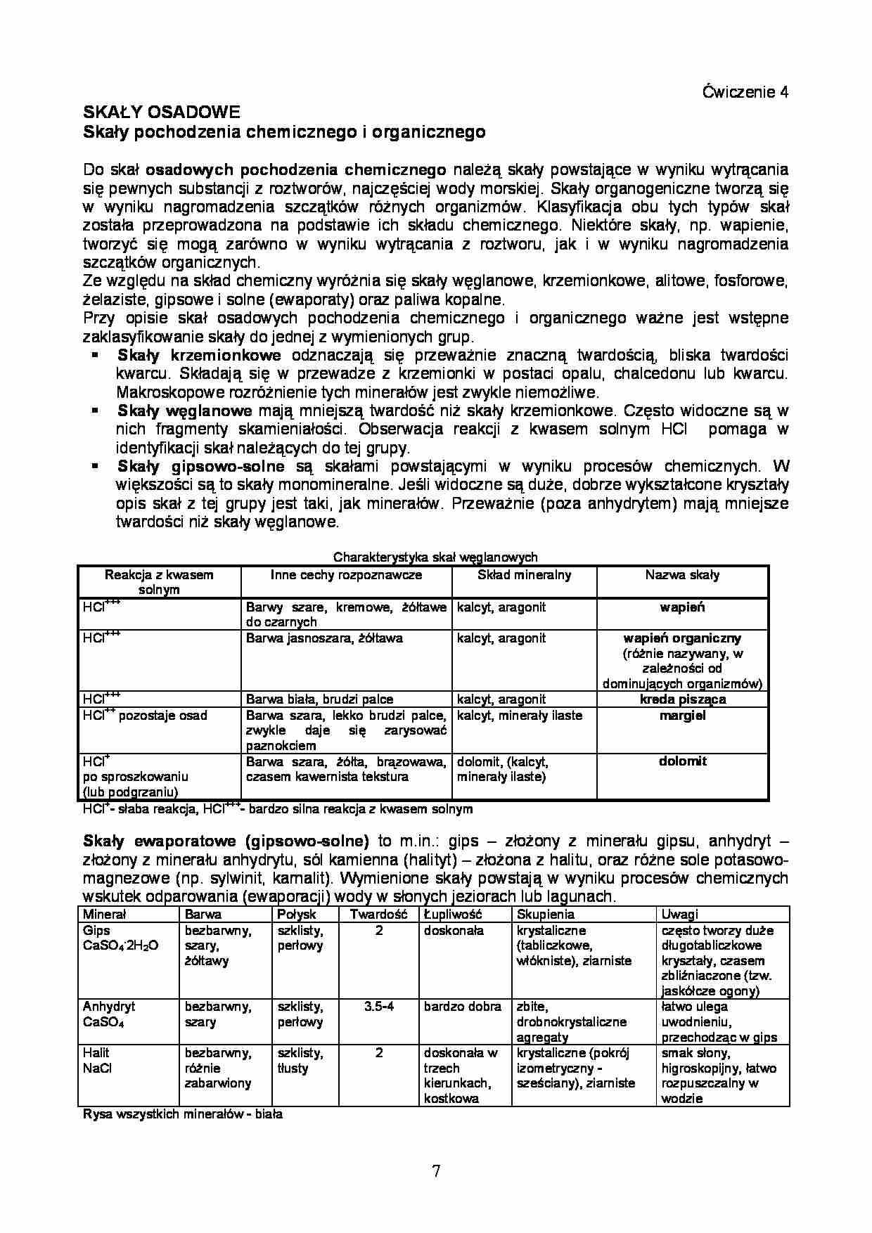 Laboratorium - skały osadowe - strona 1