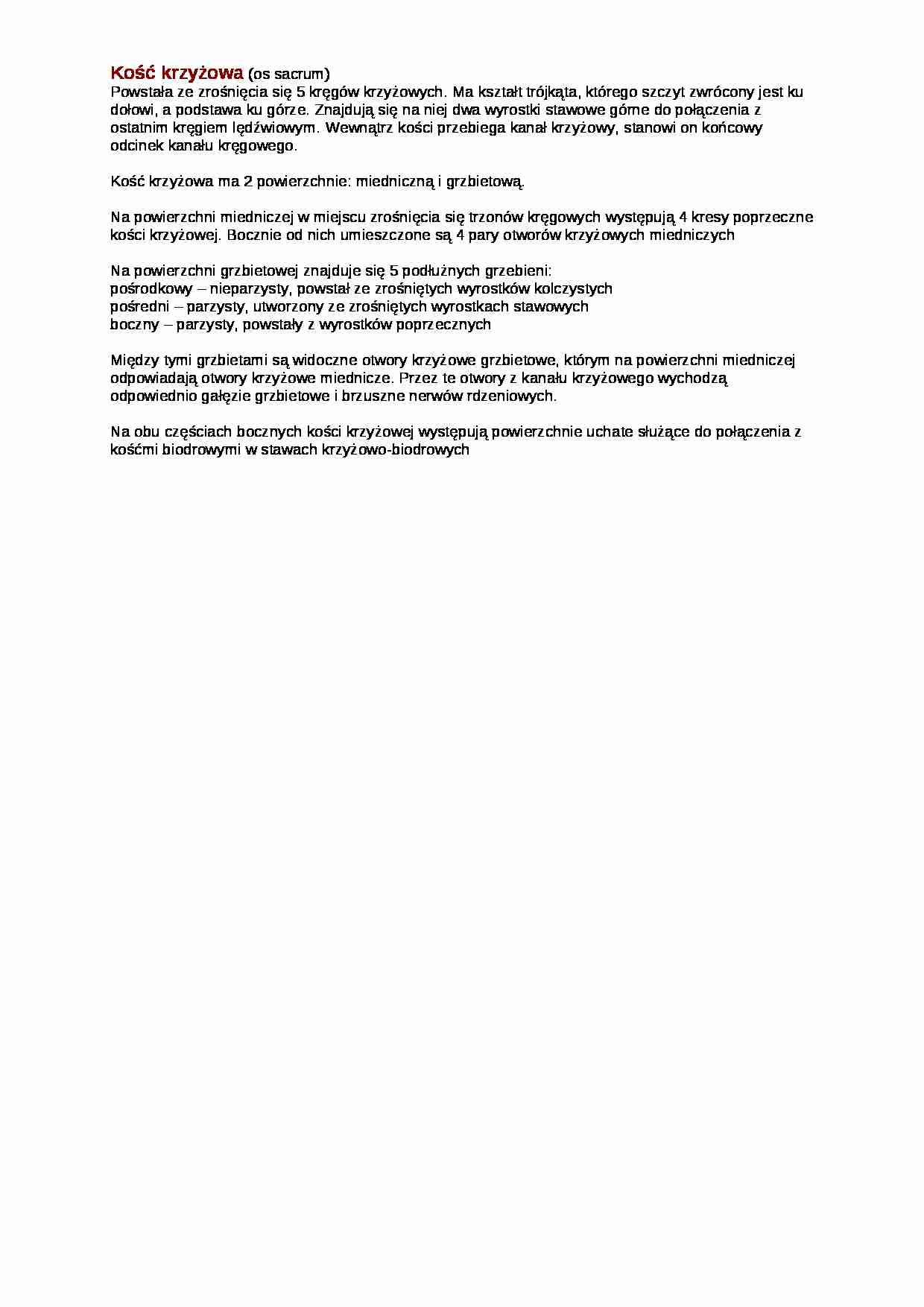 Kość krzyżowa - wykład - strona 1