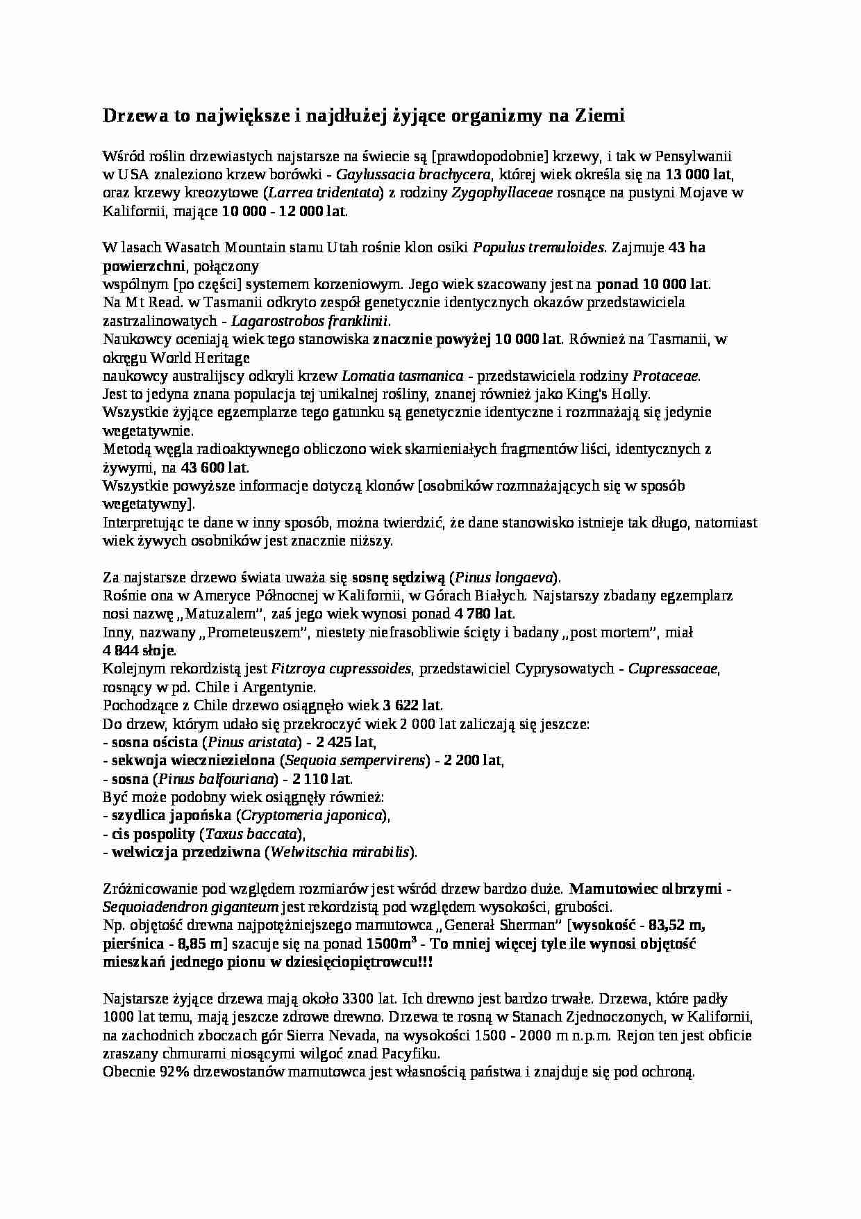 Drzewa - Szydlica japońska - strona 1