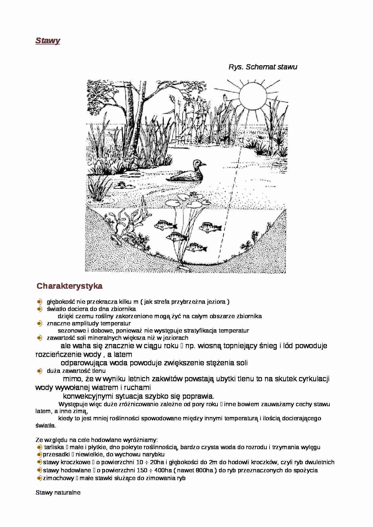 Stawy - Rdestnica pływająca - strona 1