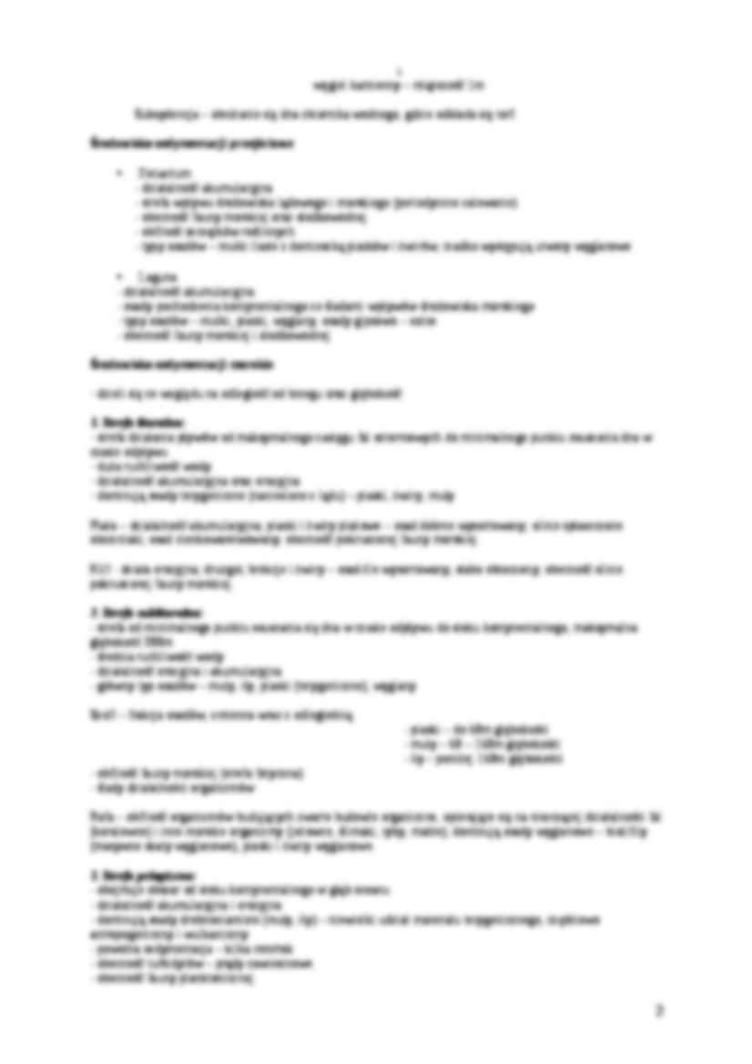 Wykład 4 - Prąd zawiesinowy - strona 2