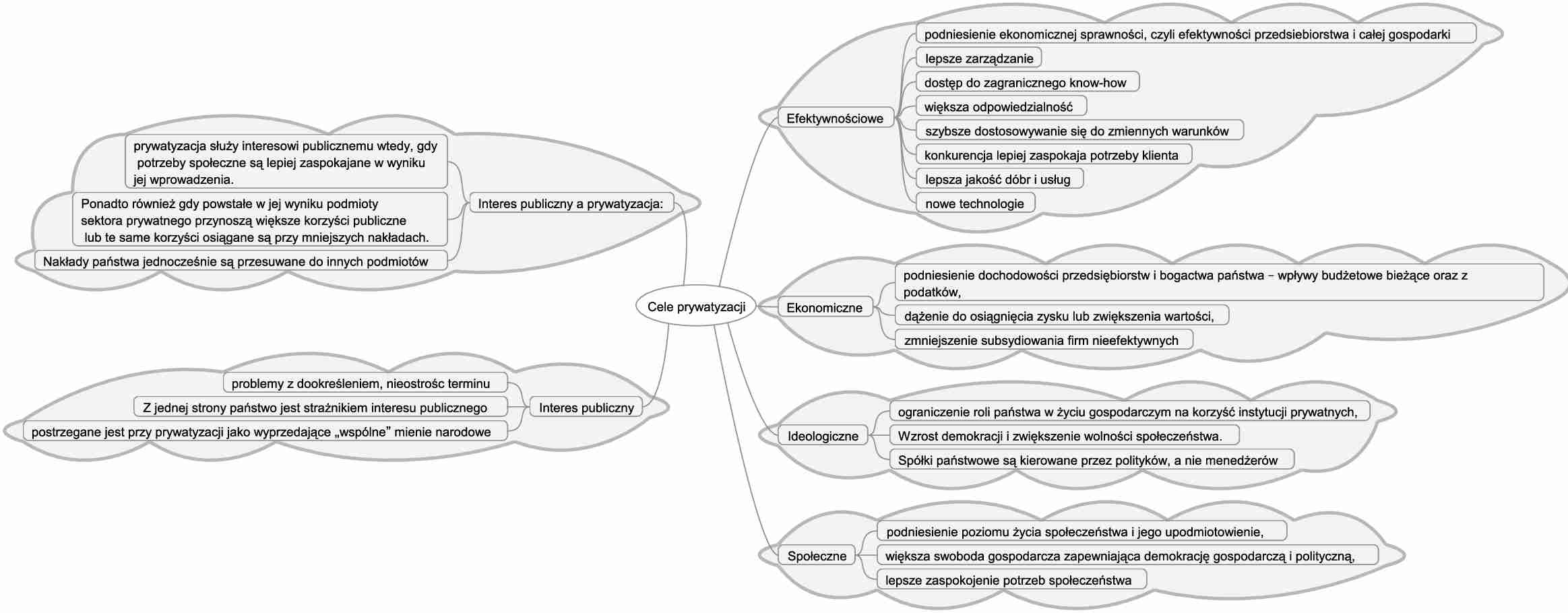 Cele prywatyzacji i problem dookreslenia interesu publicznego - strona 1