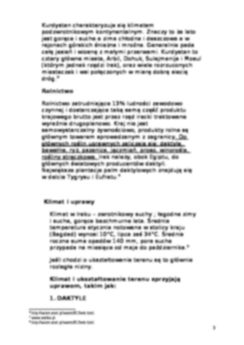 Charakterystyka Iraku - strona 3