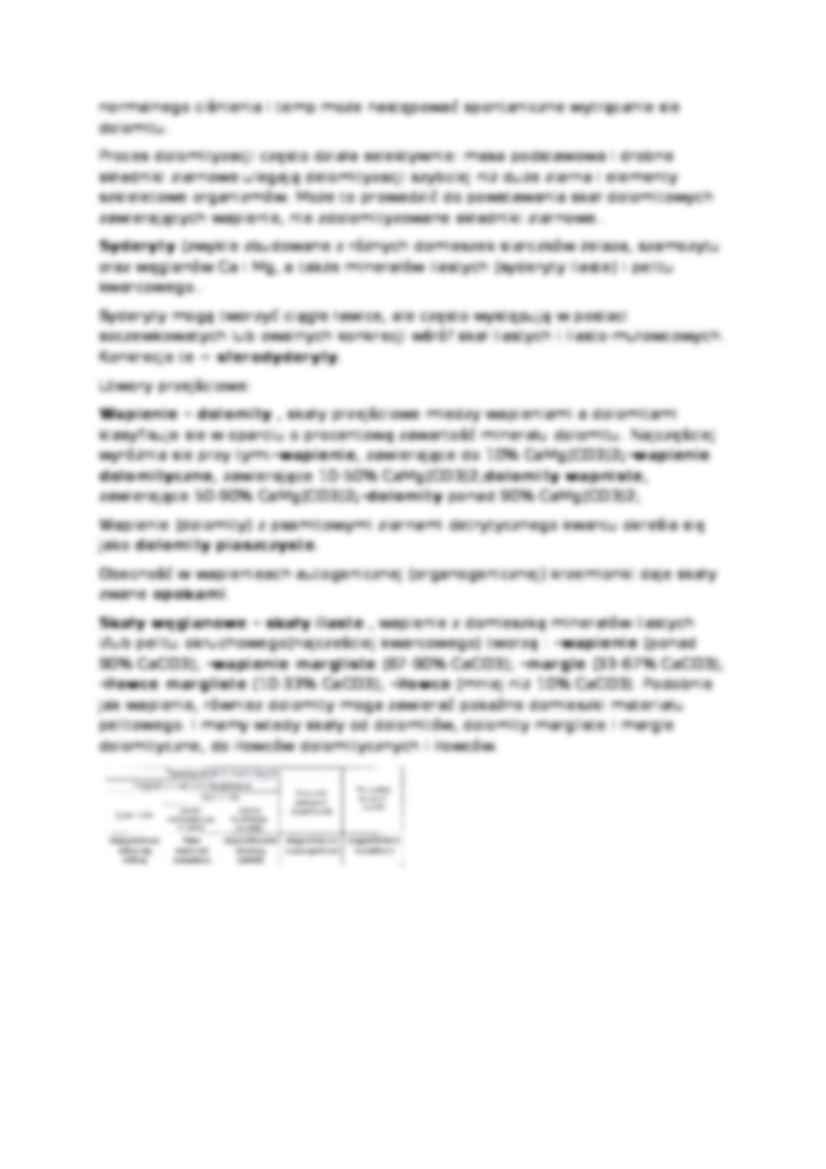 Skały osadowe węglanowe - lekcja geologii - strona 3