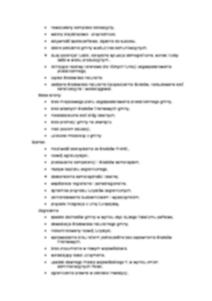 Opis analizy SWOT.doc - strona 3