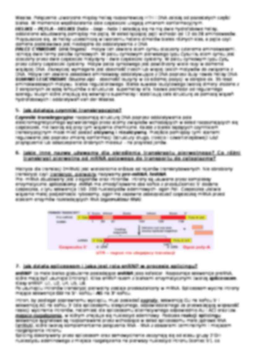 Genetyka - regulacja ekspresji genów - strona 2