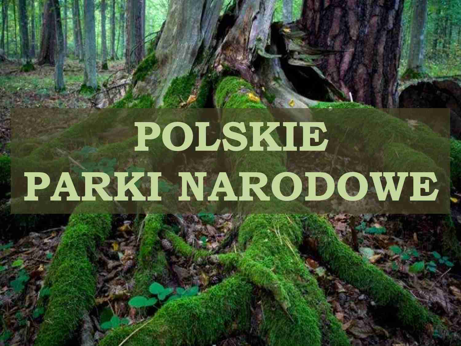 Formy ochrony przyrody - strona 1