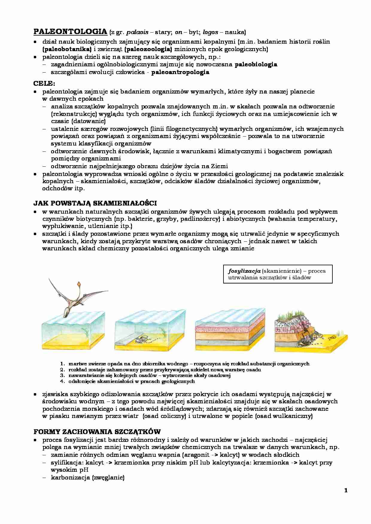 PALEONTOLOGIA - strona 1