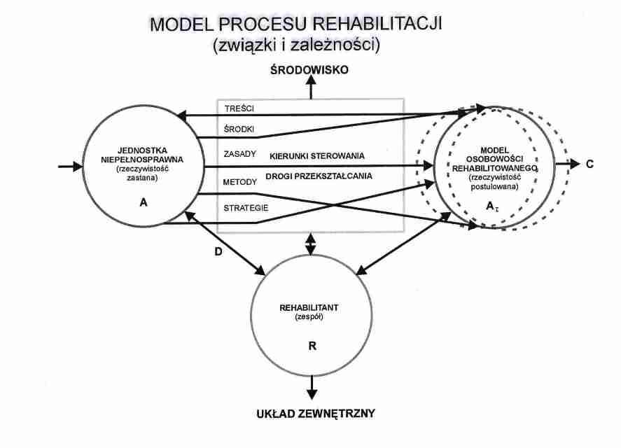 schemat procesu rehabilitacji - strona 1